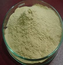Pulvriges organisches hydrolysiertes Reis-Protein 500 Mesh Particle