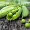 Hohe Nahrungs-Protein-Pulver aus Gemüse kein chemischer Zusatz für Energie-Getränk