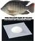 Diätetische stützbare Fische basierten Kollagen-Pulver-Peptide