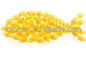 Fisch-Haut-Skala-essbares Fisch-Gelatine-Pulver CASs 9000-70-8