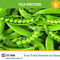 Dal Hydrogenated Vegetable Organic Plant-Protein-Pulver 1000 für Energieriegel